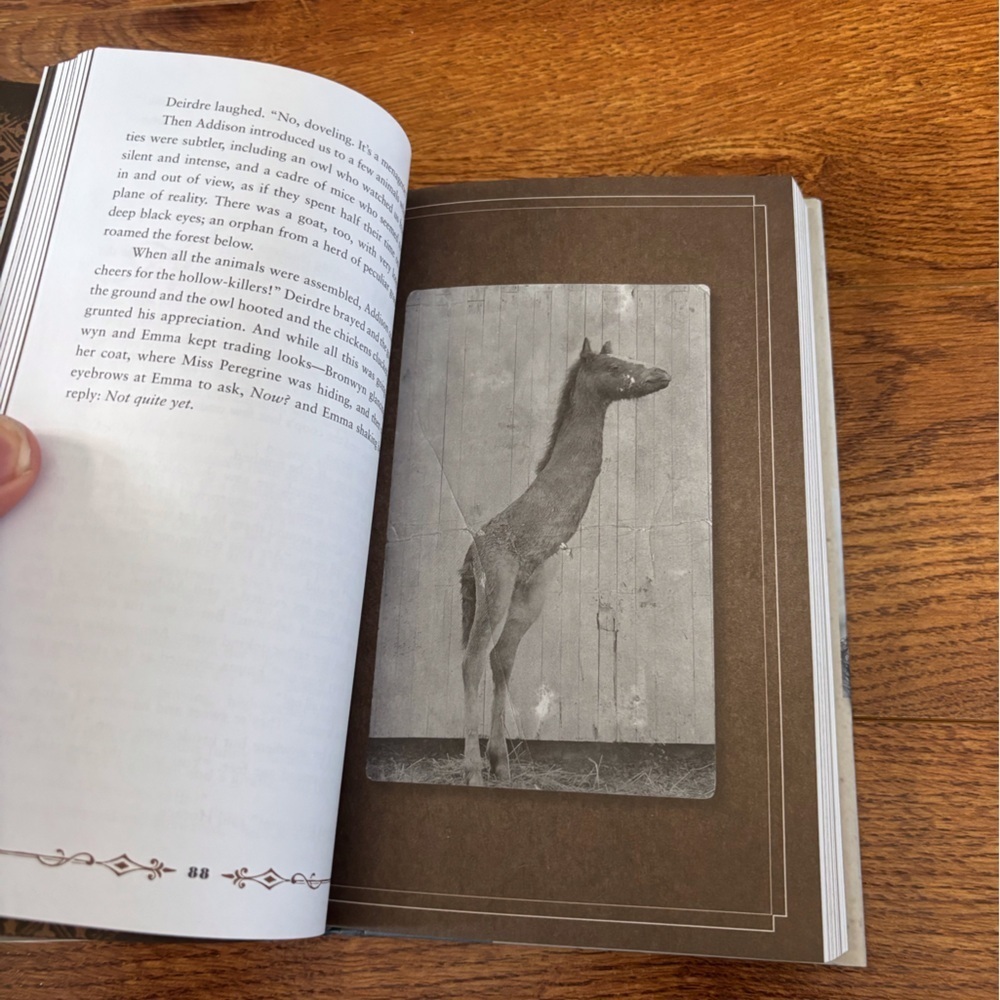 Hollow City by: Ransom Riggs hardcover book - Picture 4 of 4